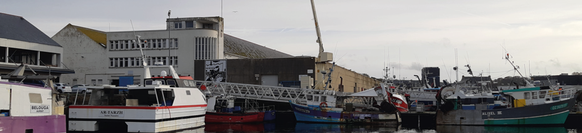 Port de Concarneau