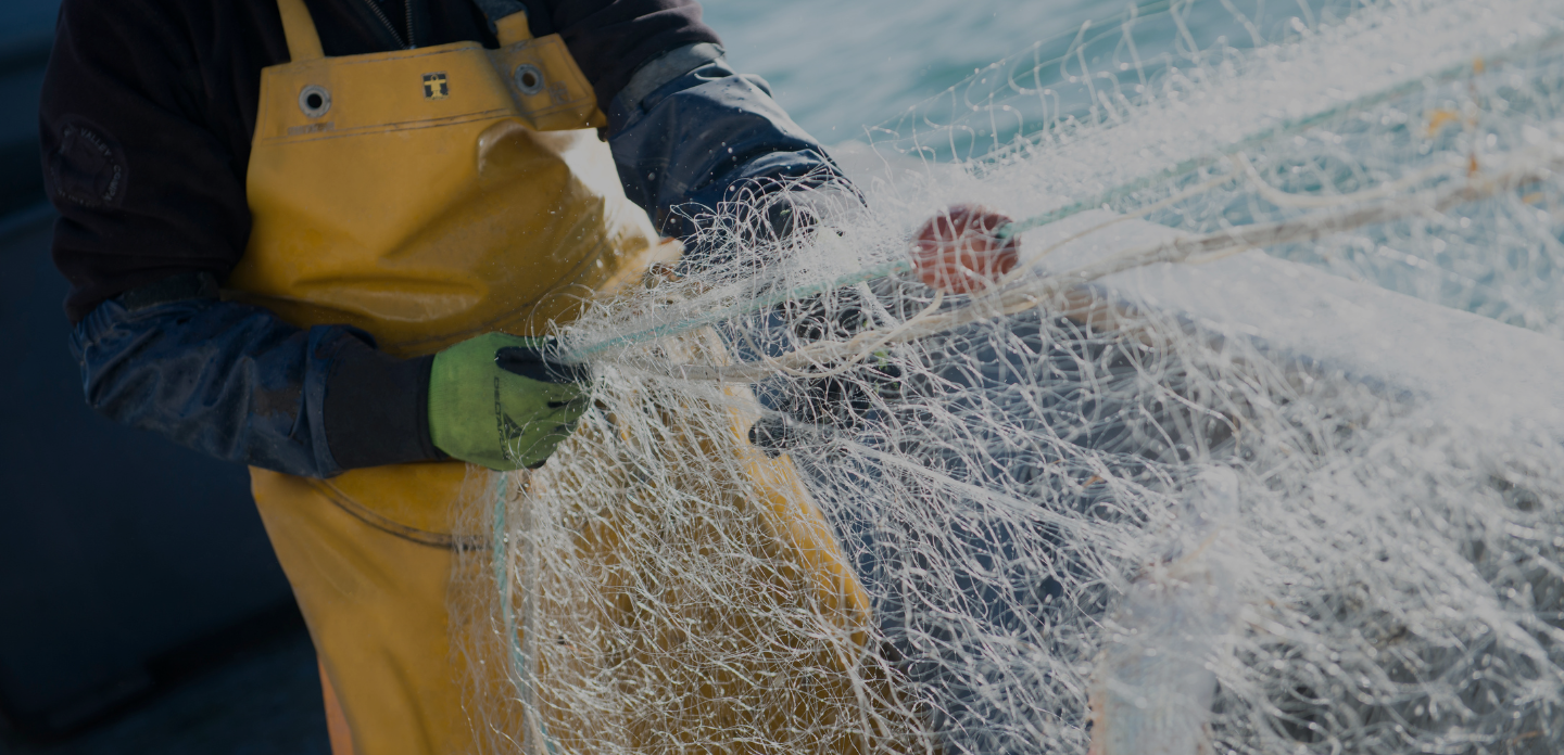 Techniques de pêche 