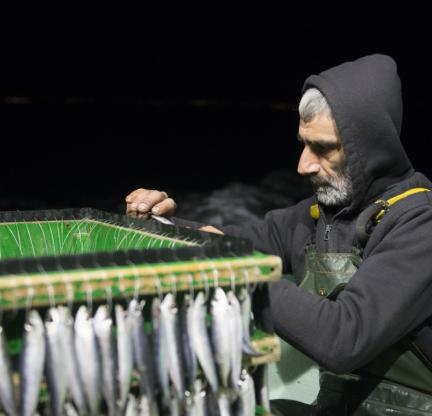 Techniques de pêche