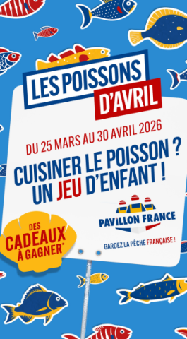 Pavillon France 50x75 Cm Alciumpeche - Drapeau Français Neuf