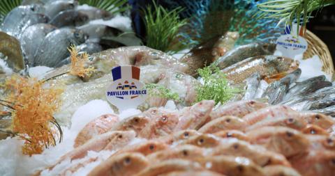 Festival du Mieux Manger