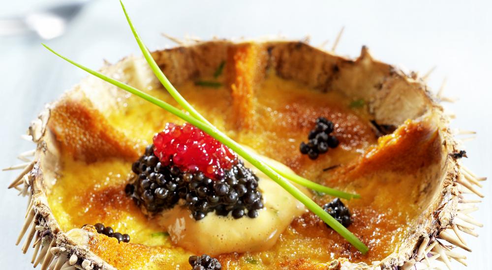 Recette Oursin Gratin Et ufs De Lump Cuisiner Poisson Rapide Recette Oursin Gratin Et ufs De Lump Cuisiner Poisson Rapide