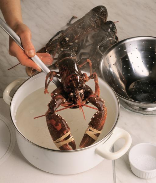 Préparez un homard au court-bouillon