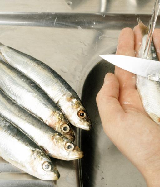 Préparez des sardines