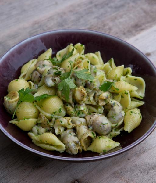 Le Poisson Pour Les Nuls Pavillon France