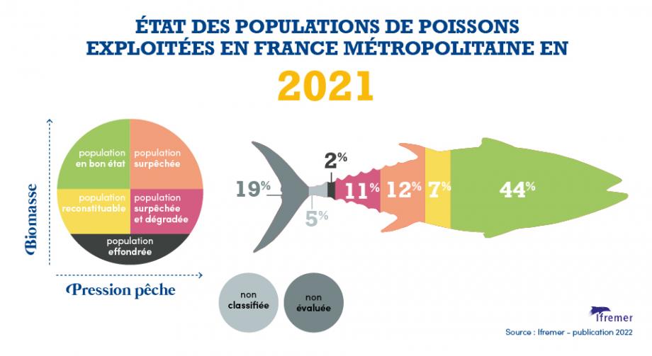 Etat des populations 2021