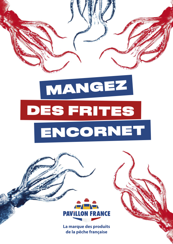 Encornet campagne