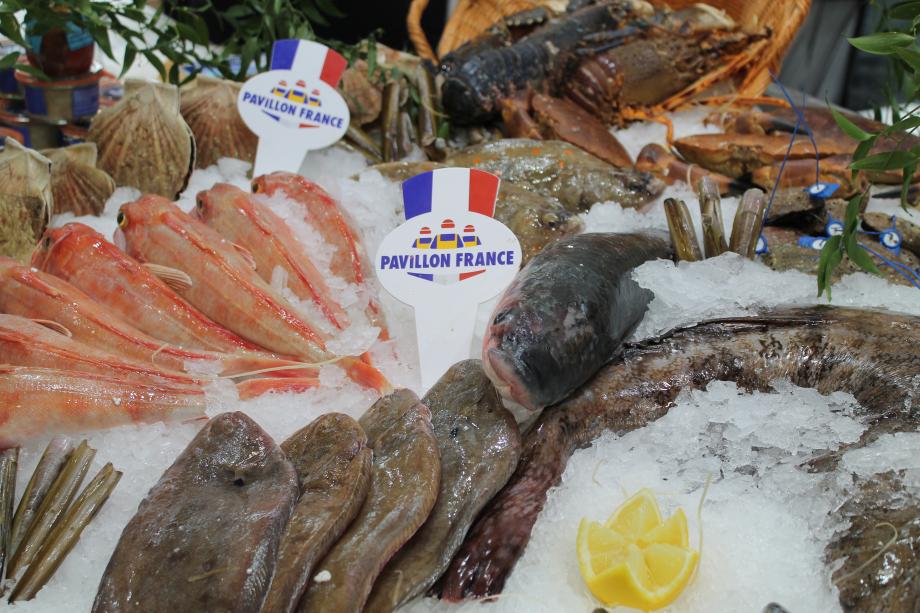 Crise carburant étal