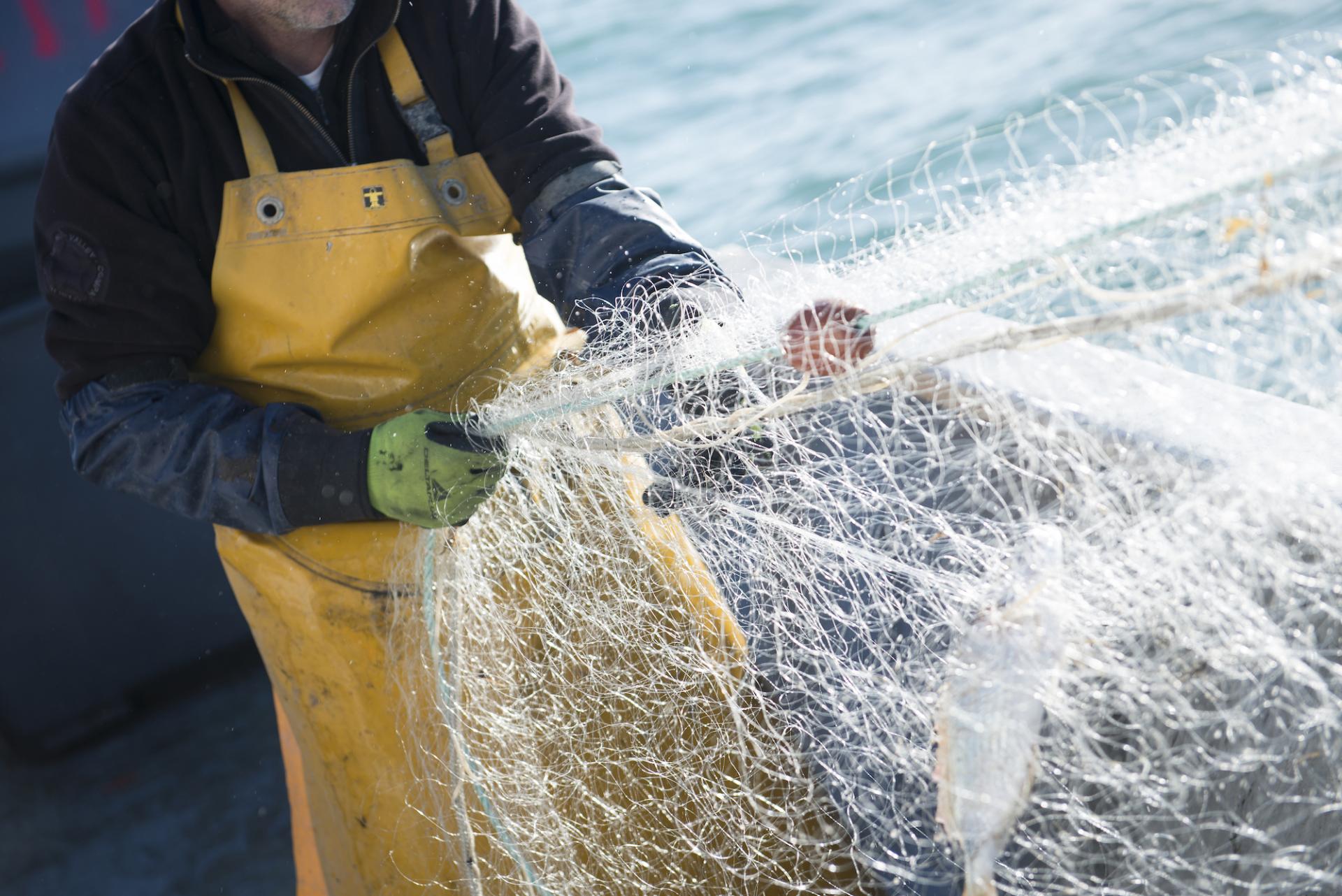filets de mer - équipement de pêche ou agrès comme toile de fond